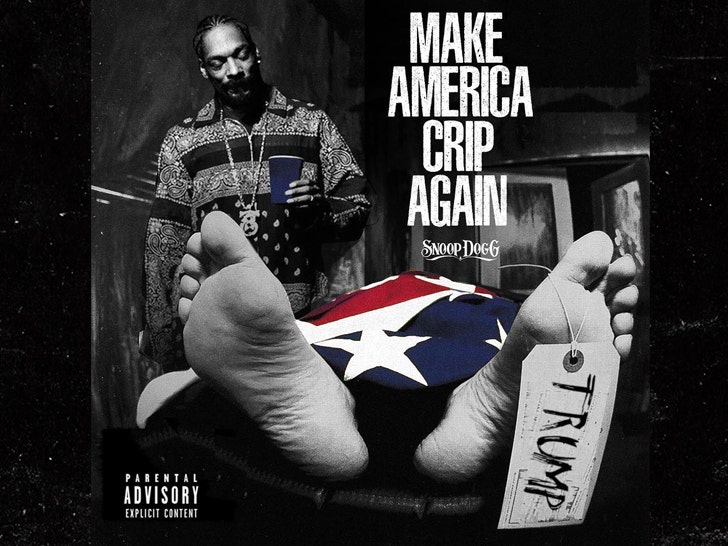 Snoop Dogg Mocks Trump Assassination Again :: 1101-snoop-dogg-album-cover-1