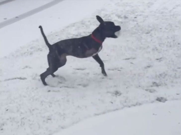 022724-jon-stewart-2