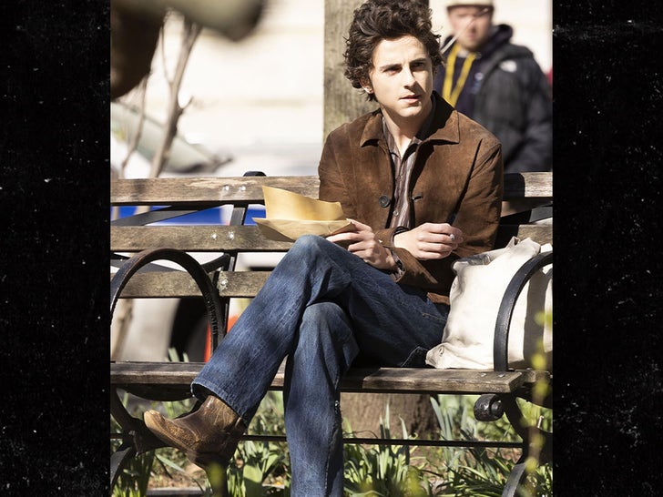 0325-Timothe-Chalamet-transforms-into-Bob-Dylan-on-the-set-of-'A-Complete-Unknown'-in-NYC-SUB-2