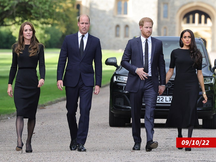 kate middleton, meghan and prince harry and william