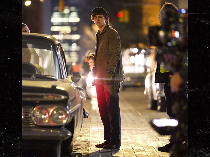 Timothee Chalamet splash 1