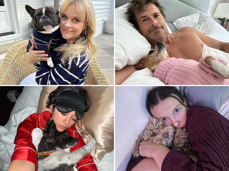 Celebs Cuddling Dogs -- Ruff Life!