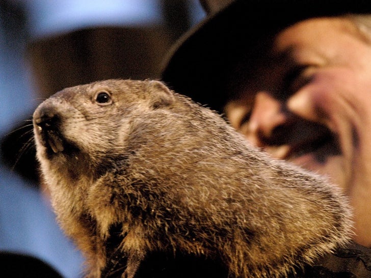 Punxsutawney Phil Through The Years