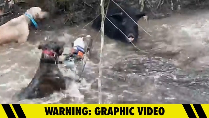 042924_will_moseley_kal