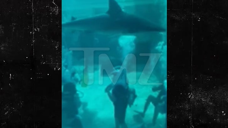 011724_shark_tank-kal