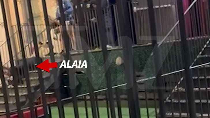 df4af254b97242269dd5b0fa7195ea47_md 030124-alaia-baldwin-aronow-kal