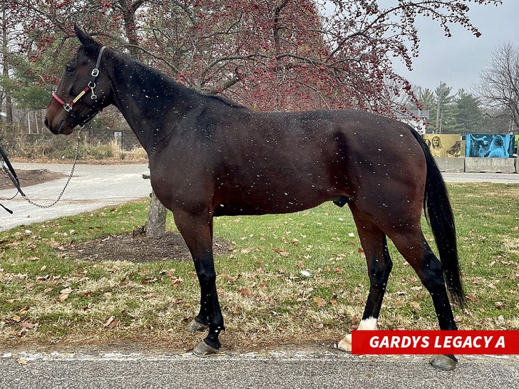 gardys legacy a main_