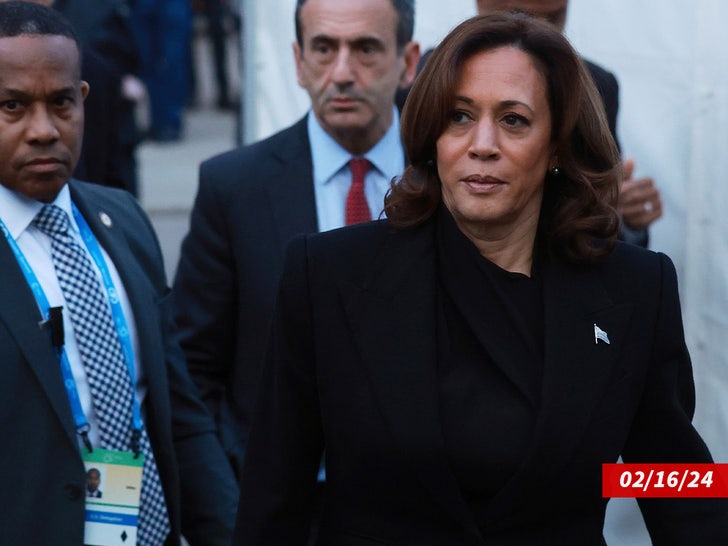 e5916923dd734db6bb0cf7d549d8ffa9_md _Kamala Harris sub_