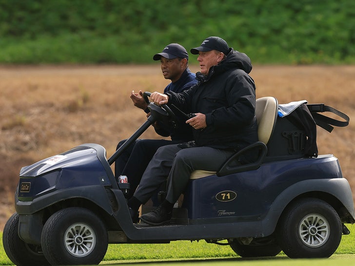 tiger getting carted off field
