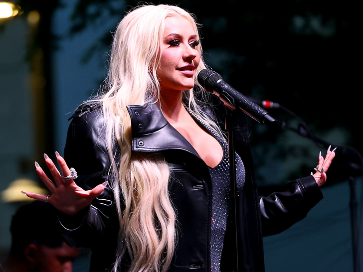 Christina Aguilera Performance Photos