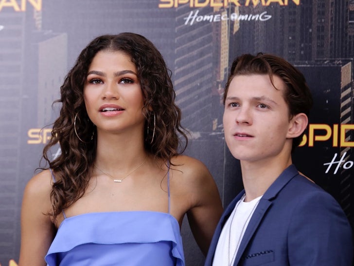 Zendaya and Tom Holland Together