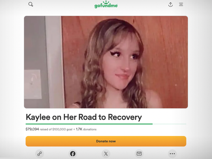kaylee updated gofundme