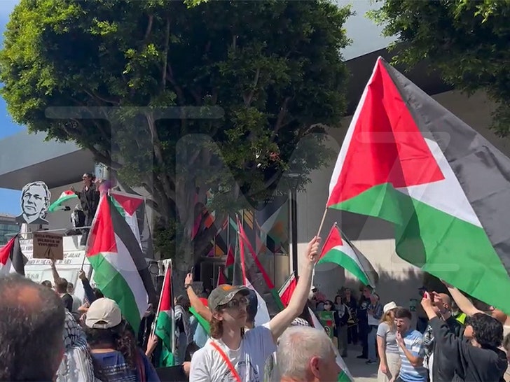 031024-oscars-protes-flag-primary