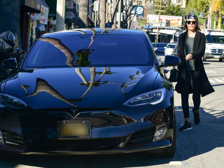 Stars With Teslas