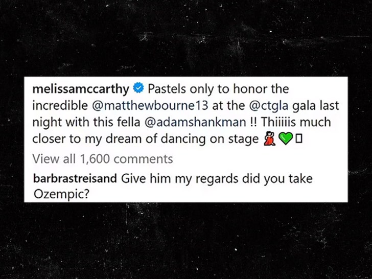 melissa mccathy and barbra streisand