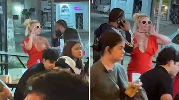 090623-britney-spears-kal