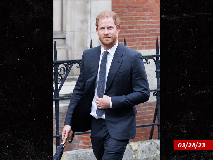 police protection prince harry