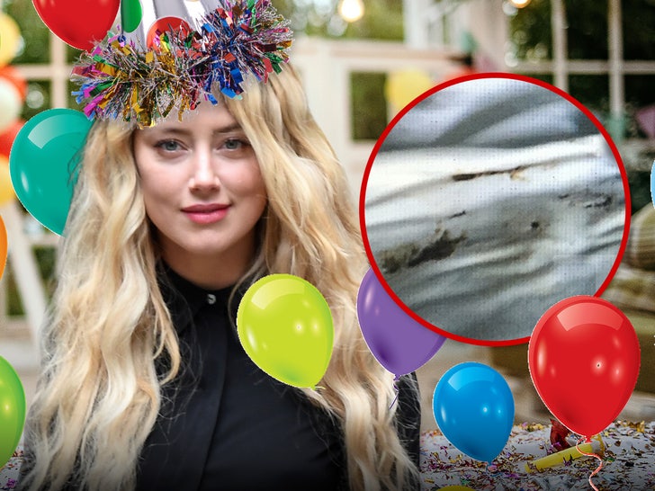 f8bf90fd76fd404c874e2a363152cc22_md Amber Heard de cumpleaños
