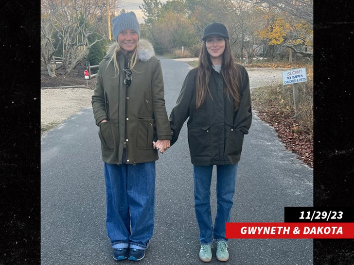 fb022c1c594548fd8a9a7951f6e0ddee_md-1 dakota johnson and gwyneth paltrow chris martin