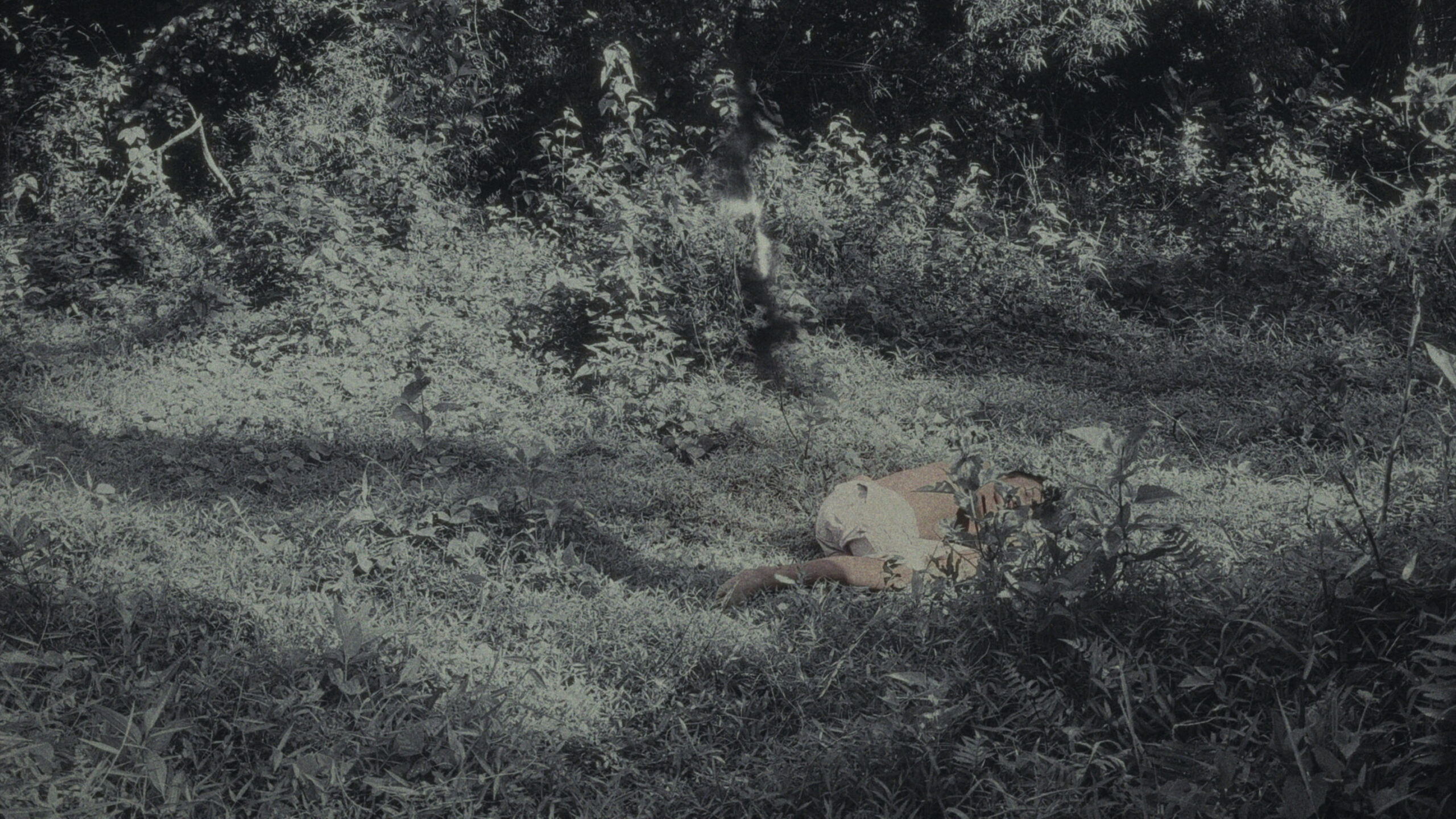 i-grew-an-inch-when-my-father-died-film-still-3-iffr