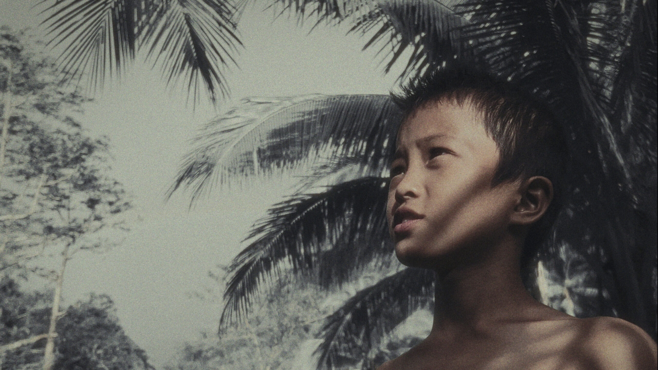 i-grew-an-inch-when-my-father-died-film-still-4