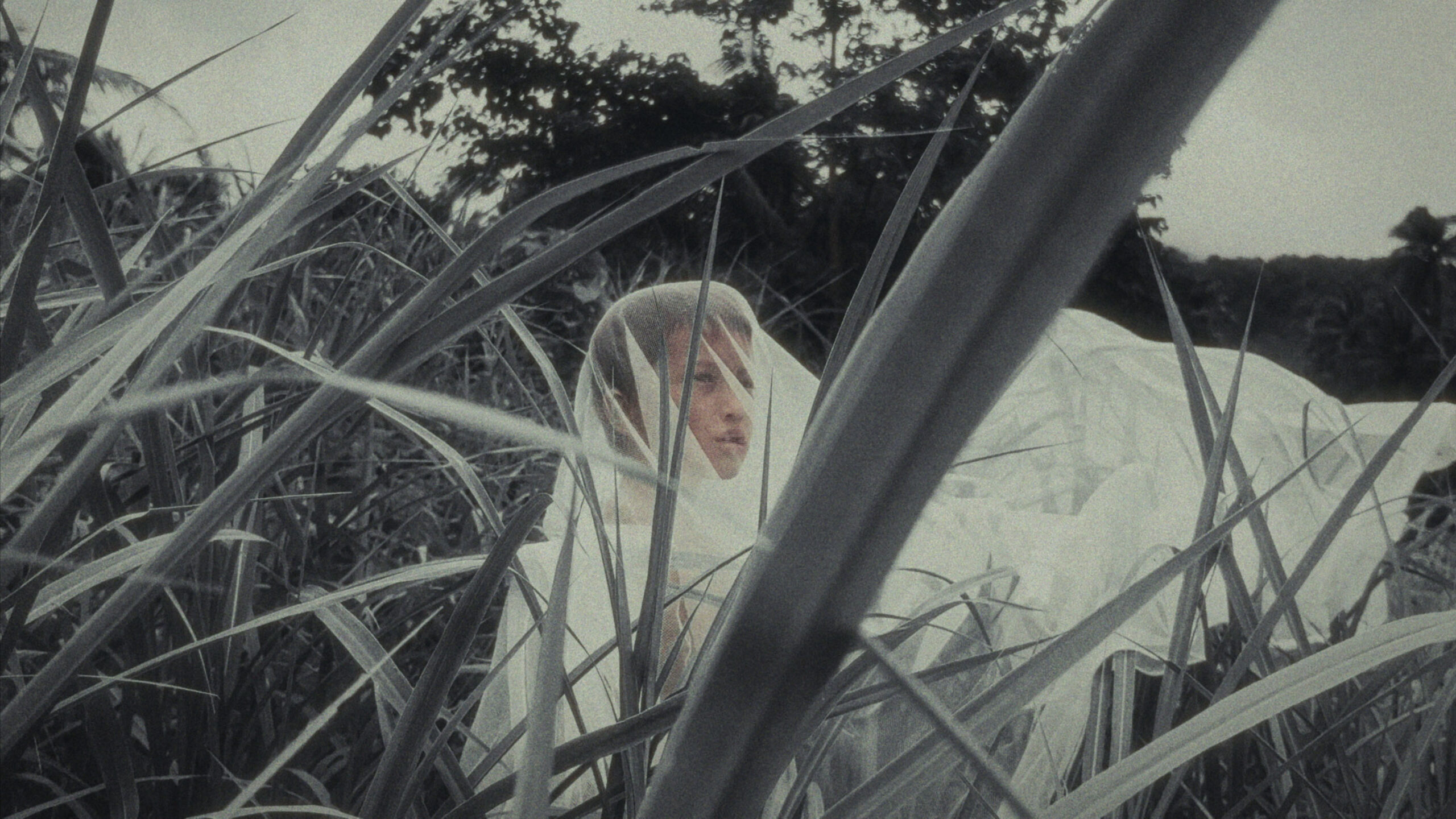 i-grew-an-inch-when-my-father-died-film-still-5