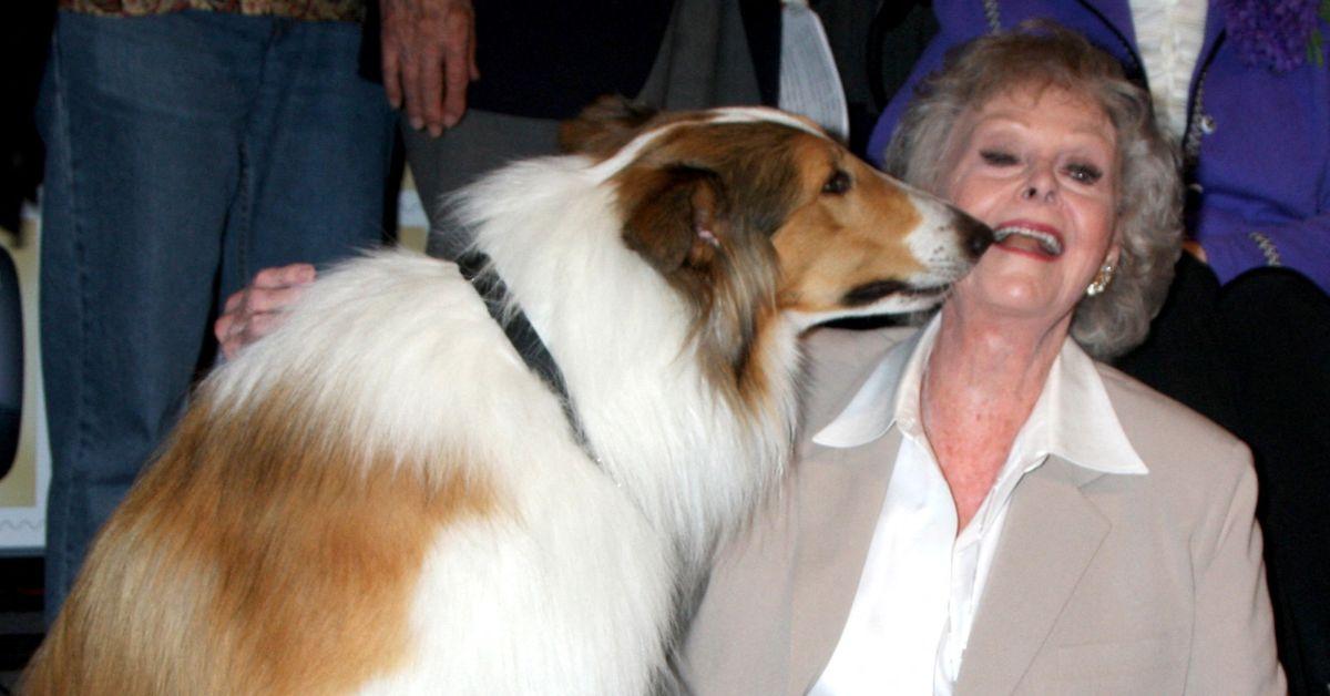 june-lockharts-secret-adventures-revealed-tv-icon-dies-aged-100-1-1763716685877 The '50s series 'Lassie' and the '60s show 'Lost in Space' contrasted with June Lockhart's adventurous side.