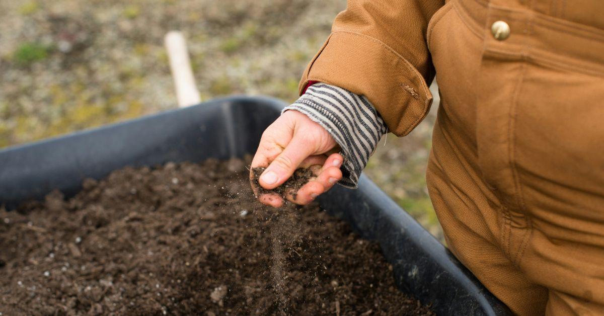 martha stewarts death wish lifestyle guru wants remains composted