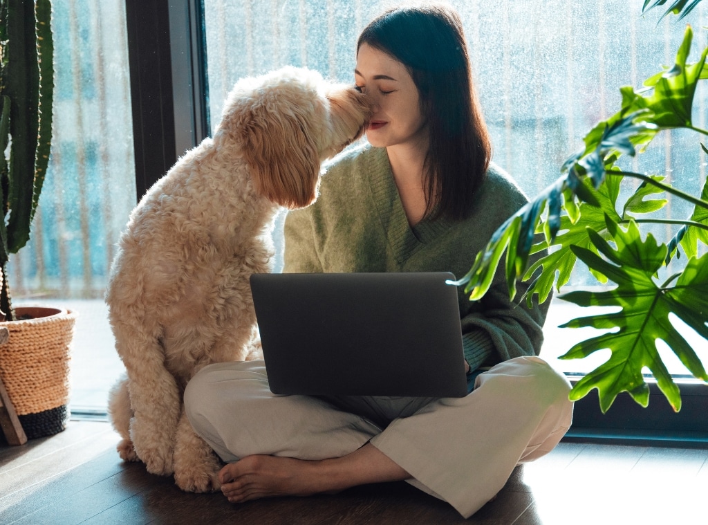 Shop Amazon Prime Day 2024 Pets Deals - hero image