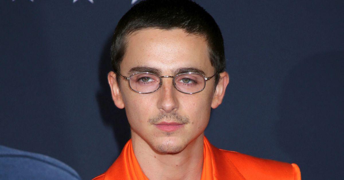 Photo of Timothée Chalamet