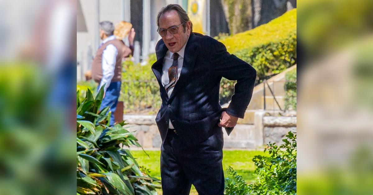 picture of Tommy Lee Jones