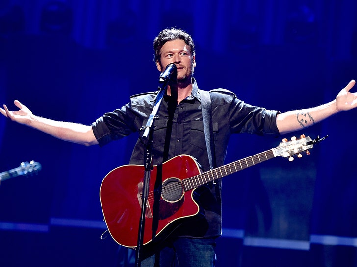 Blake Shelton on Stage