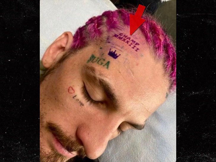 sean omalley twitter 1