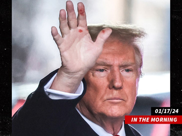 00c11bcdaa7a4850bbc91b7276113a01_md trump red hand 1