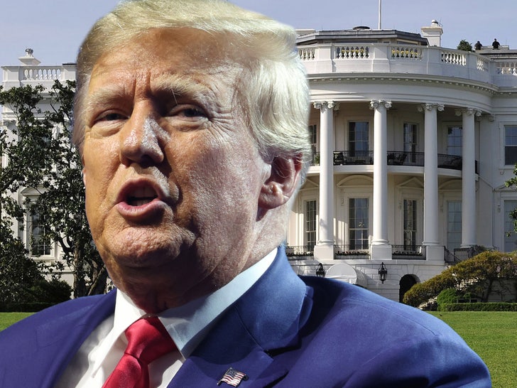 025e2636bbbc4bc7aaf9cb98521811fe_md DONALD TRUMP