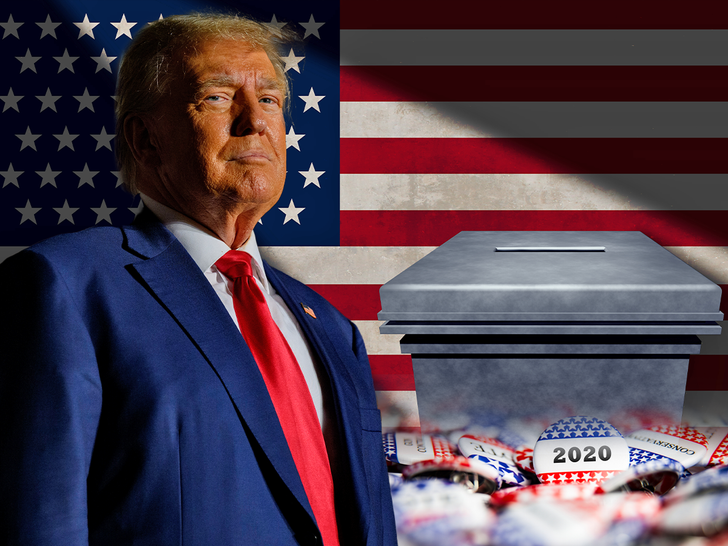 donald trump  election slips