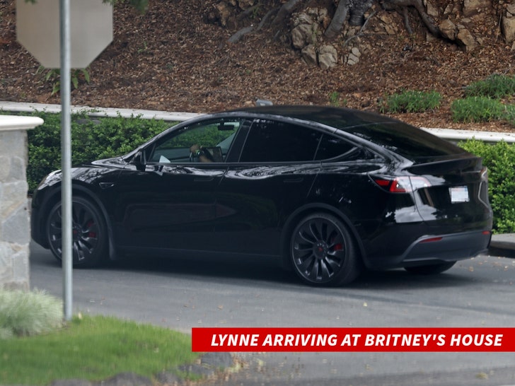 0524 Lynne arriving at Britney's house BACKGRID