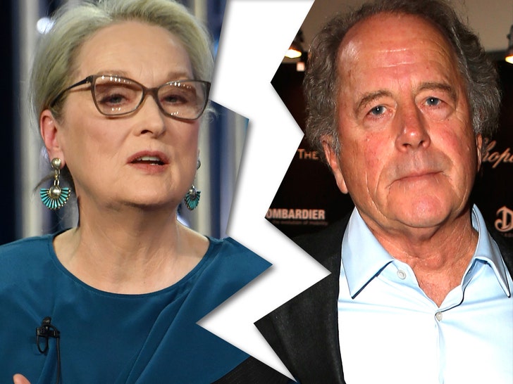 1021 Meryl Streep Don Gummer getty comp
