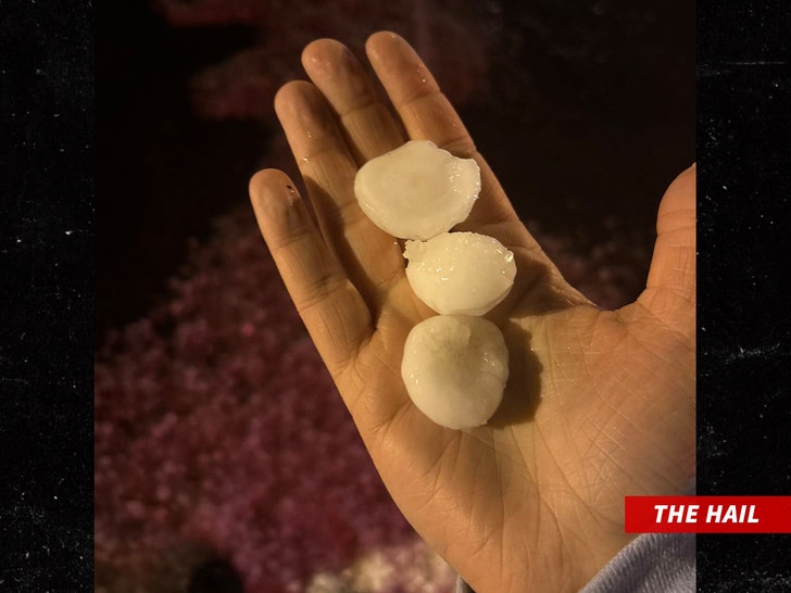 Louis Tomilson concert hail