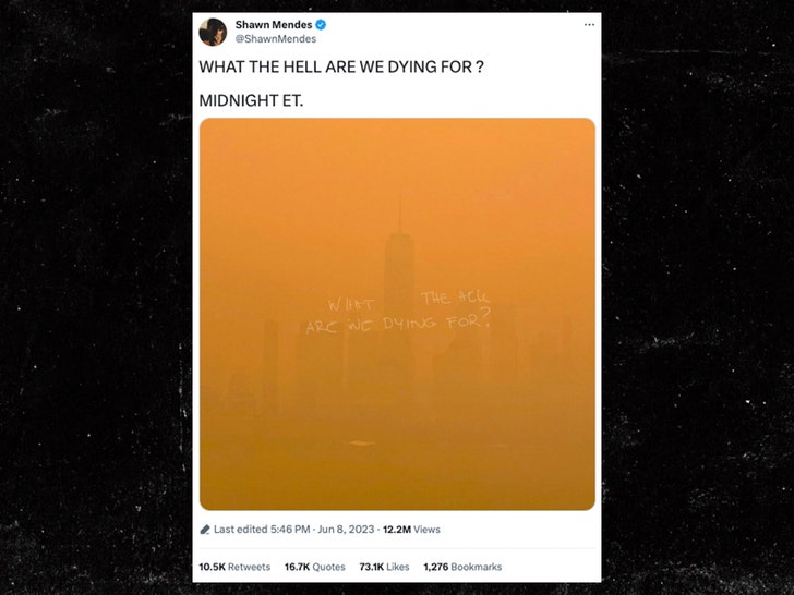 shawn mendes twitter newyork