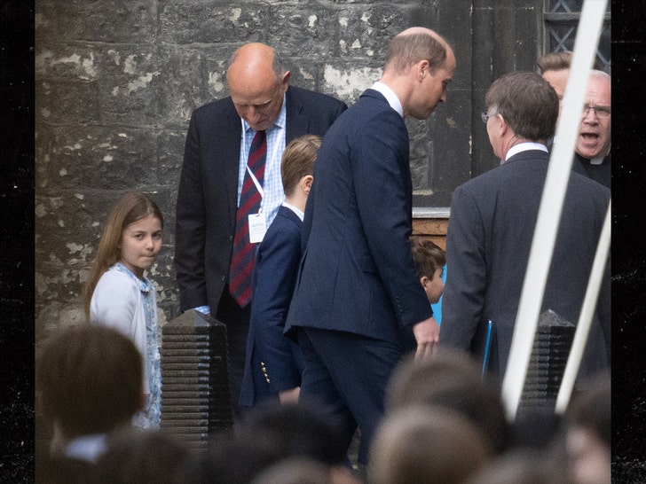 prince william mega