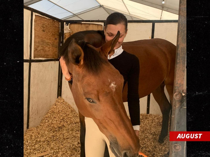 Bella Hadid's Pony Pics