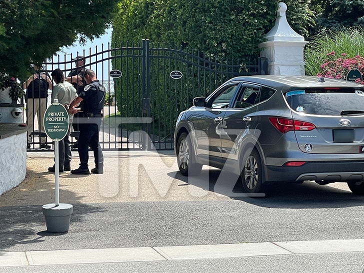 Taylor Swift Stalker