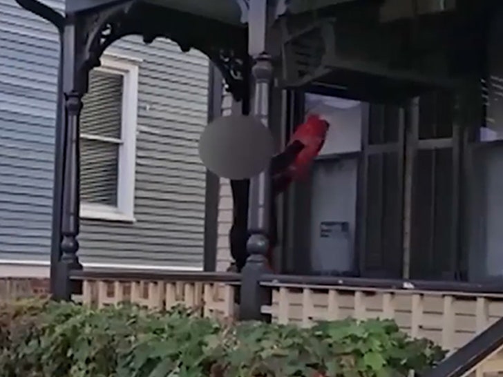 120823-martin-luther-king-woman-primary