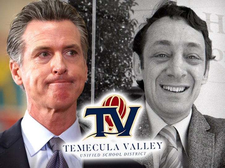 gavin newsom harvey milk