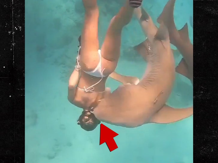 041423-shark-attack-sub4