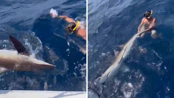 062023_drew_rosenhaus_shark_kal