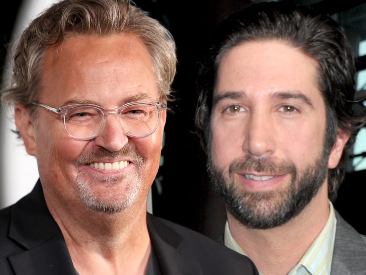 MATTHEW PERRY David Schwimmer