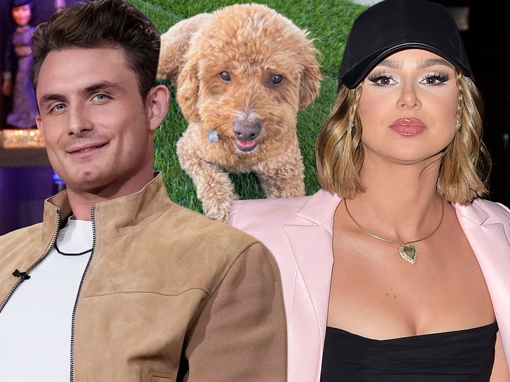 raquel leviss james kennedy and dog insta getty 1