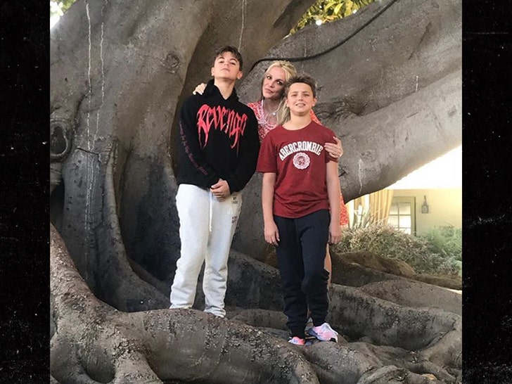 1414b0b7a7284817bcef95950da6179f_md-4 britney with her sons no credit